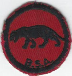 Panther Patrol Patch