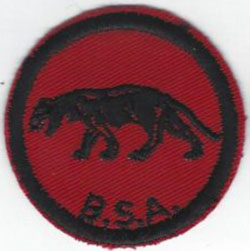 Panther Patrol Patch