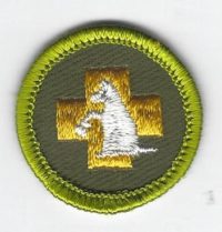 Pet First Aid Merit Badge