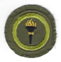 Public Health Merit Badge