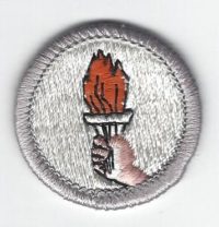Public Health Merit Badge