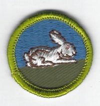 Rabbit Raising Merit Badge