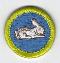 Rabbit Raising Merit Badge