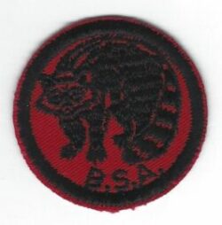 Raccoon Patrol Patch