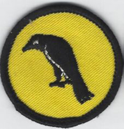 Raven Patrol Patch