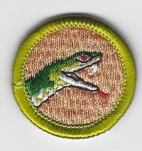 Reptile Study Merit Badge