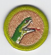 Reptile Study Merit Badge