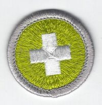 Safety Merit Badge Type H Required