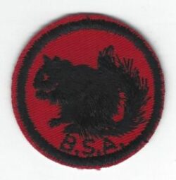 Squirrel Patrol Patch