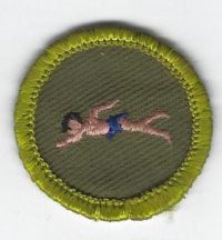 Swimming Merit Badge