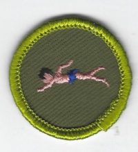 Swimming Merit Badge