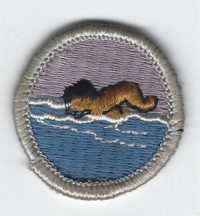 Swimming Merit Badge