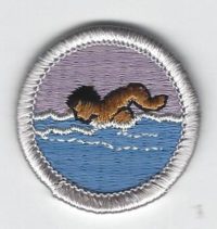 Swimming Merit Badge