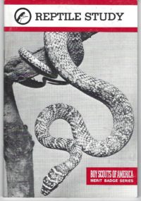 Reptile Study MBB