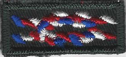 Eagle Scout Knot