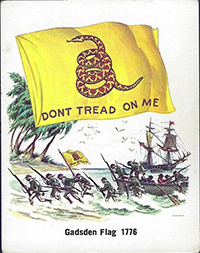 1981 NJ Gadsden Flag Subcamp