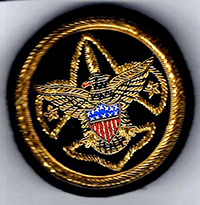 Universal Blazer Emblem U2