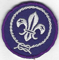 WOS Brotherhood of Scouting