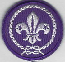 WOS Brotherhood of Scouting plastic