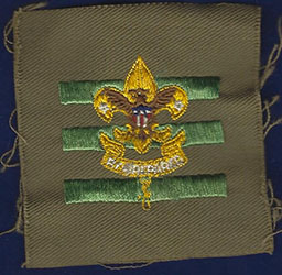 Junior Assistant Scoutmaster
