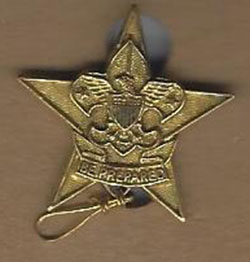 Star Pin