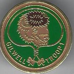 .Wood Badge