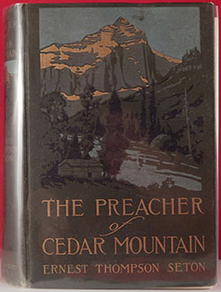 The Preacher of Cedar Mountain