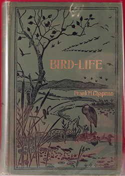 Bird-Life