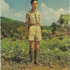 Scouts of the World Iran Postcard 1964
