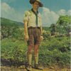 Scouts of the World Italy Postcard 1964