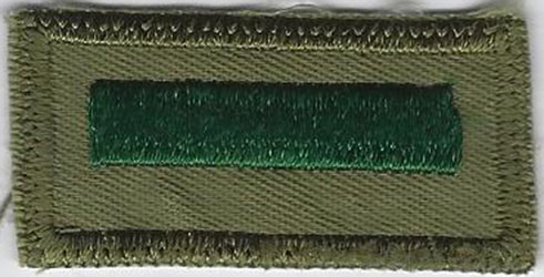 Assistant Patrol Leader A7