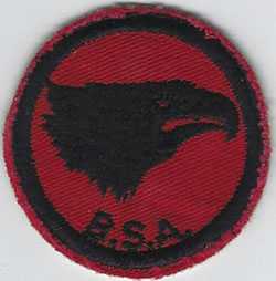 Eagle Patrol Patch