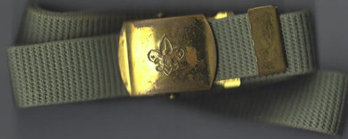 Scout Olive Web Belt