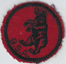 Bear Patrol Patch