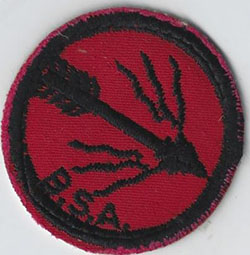 Blazing Arrow Patrol Patch