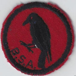 Crow Patrol Patch