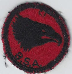 Eagle Patrol Patch