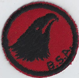 Eagle Patrol Patch