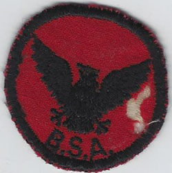 Flying Eagle Patrol Patch
