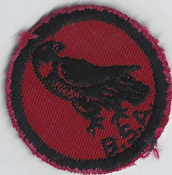 Hawk Patrol Patch