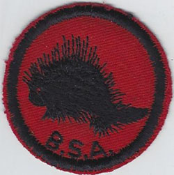 Porcupine Patrol Patch