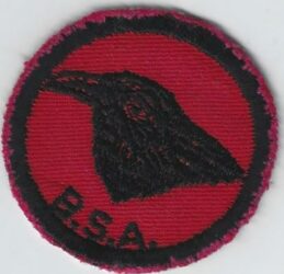 Raven Patrol Patch