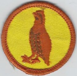 Bobwhite Patrol Patch