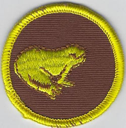 Frog Patrol Patch