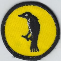 Raven Patrol Patch