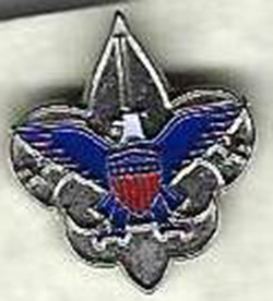BSA Colorized Pin
