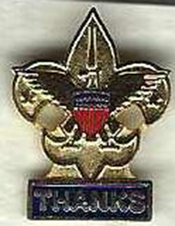 BSA Thanks Pin