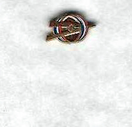 Exploring Universal Enameled Pin