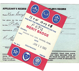 Certificate 1981 4124/4124/3414 Merit Badge Pets KB Used;