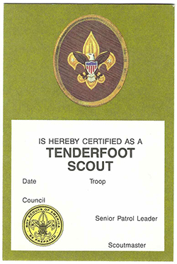Certificate 1989 Printing 3411 Tenderfoot